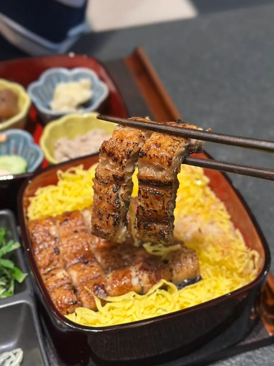 A thick piece of grilled eel