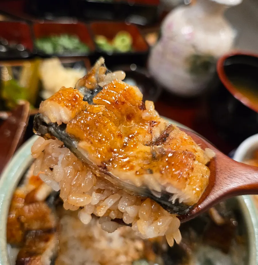 Eel rice bowl divided into four quarters, crosswise