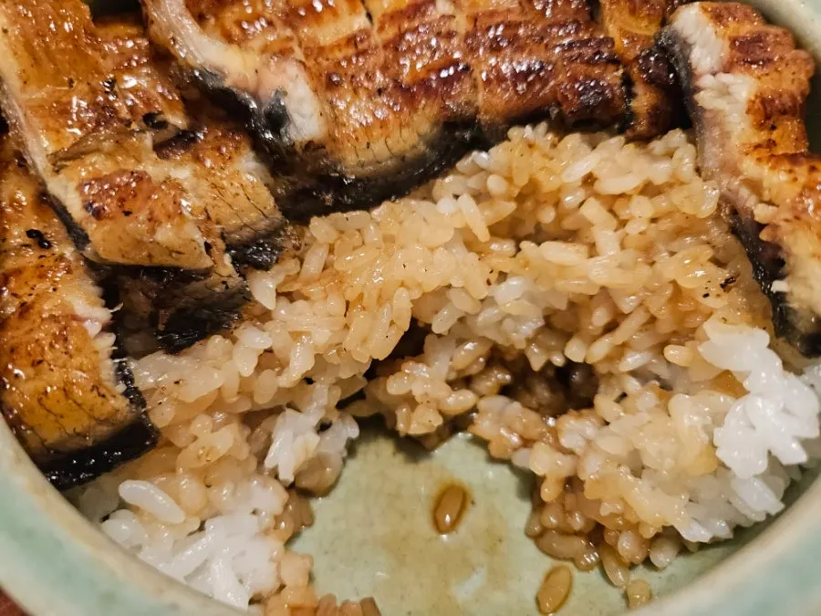 Sauce-drizzled rice beneath the eel
