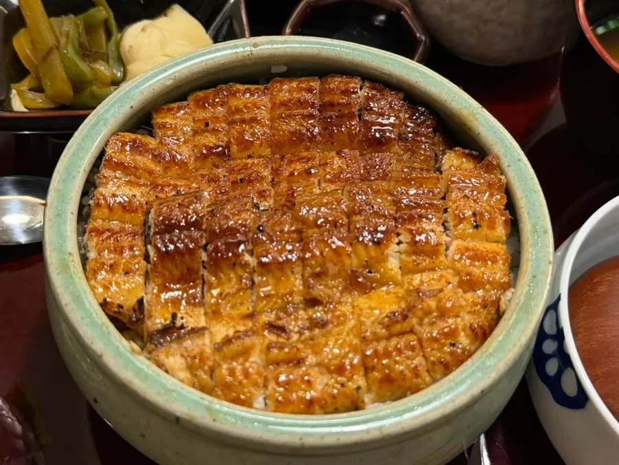 Grilled eel packed densely on top of the rice