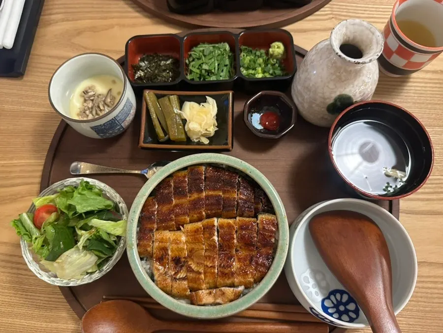 장어 한 마리가 올라간 히츠마부시 상