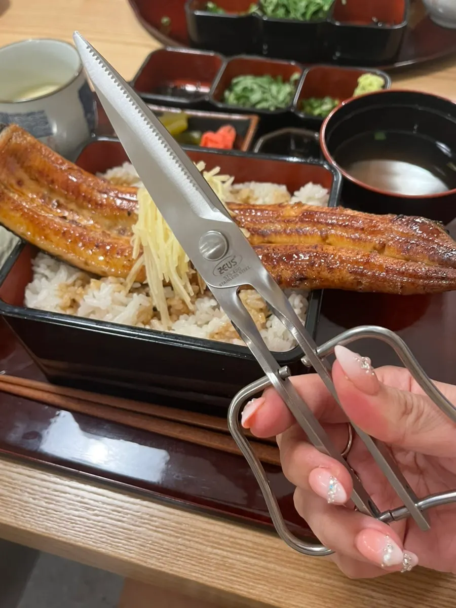 The Hitsumabushi Set topped with one whole eel