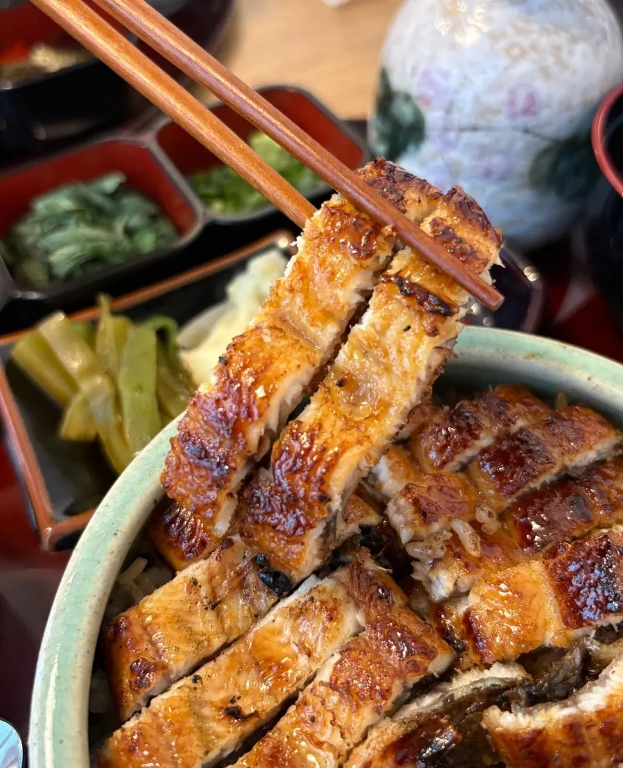 米饭上铺满的一整条鳗鱼