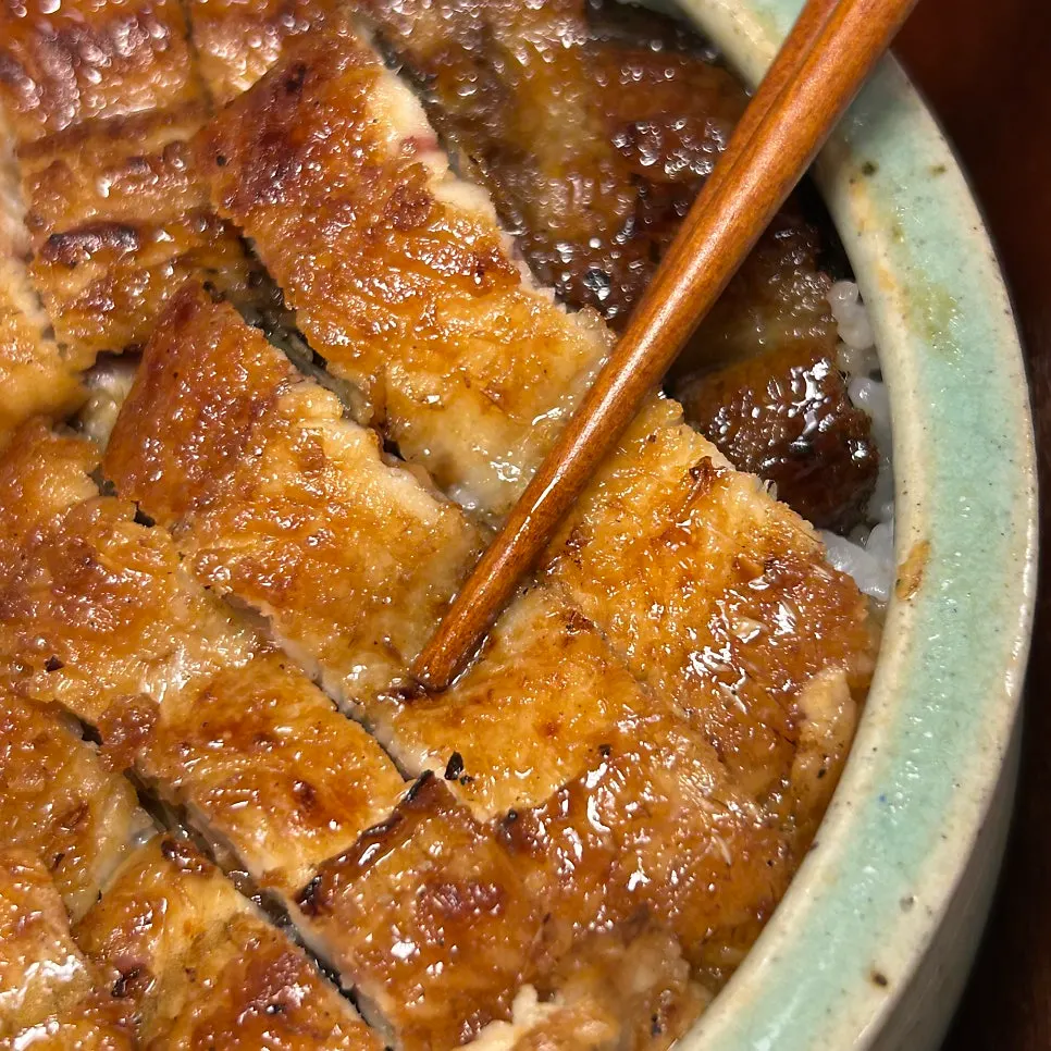 Close-up of charcoal-grilled hitsumabushi eel
