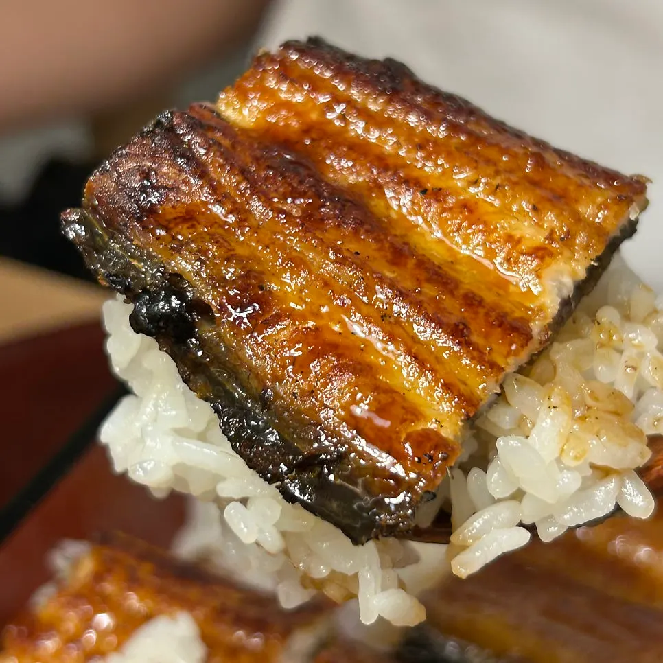 Well-seasoned unadon eel over rice