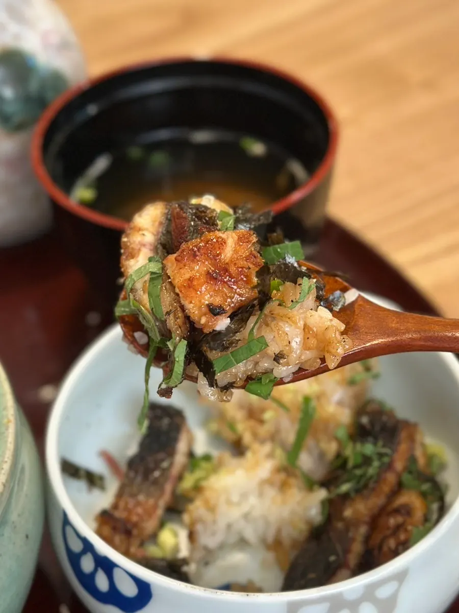 Eel rice bowl topped with wasabi, seaweed and chives