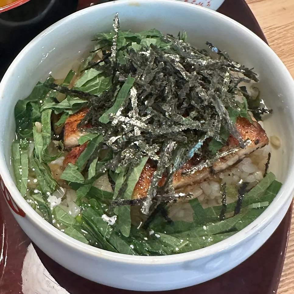Eel rice bowl topped with scallion and wasabi