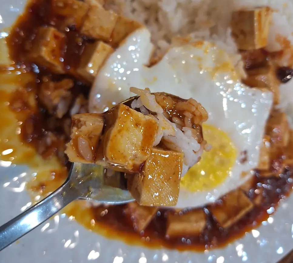Son enjoying the mapo tofu rice