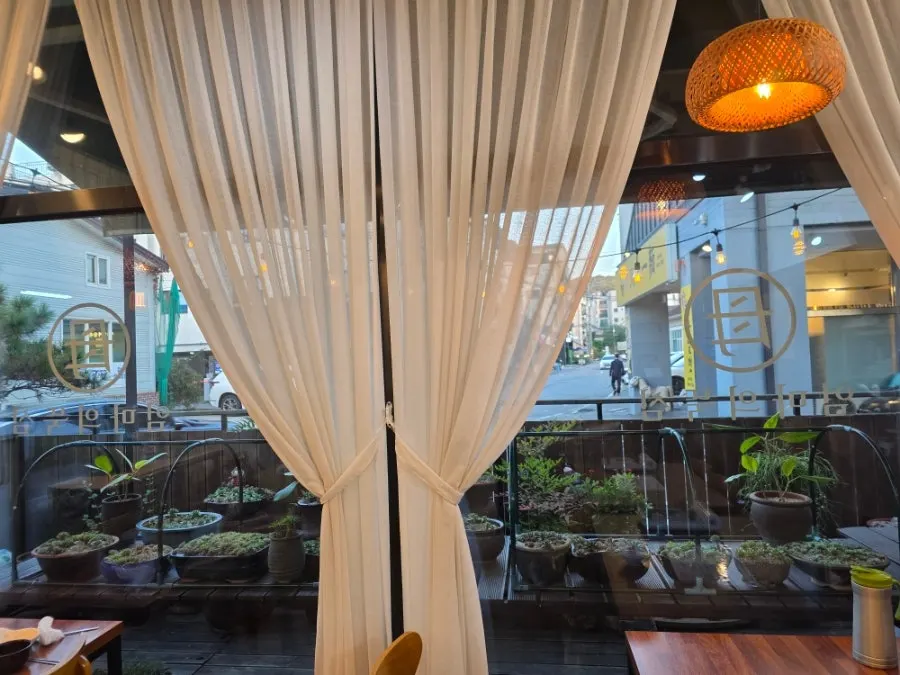 Window seating with potted plants visible through the picture window