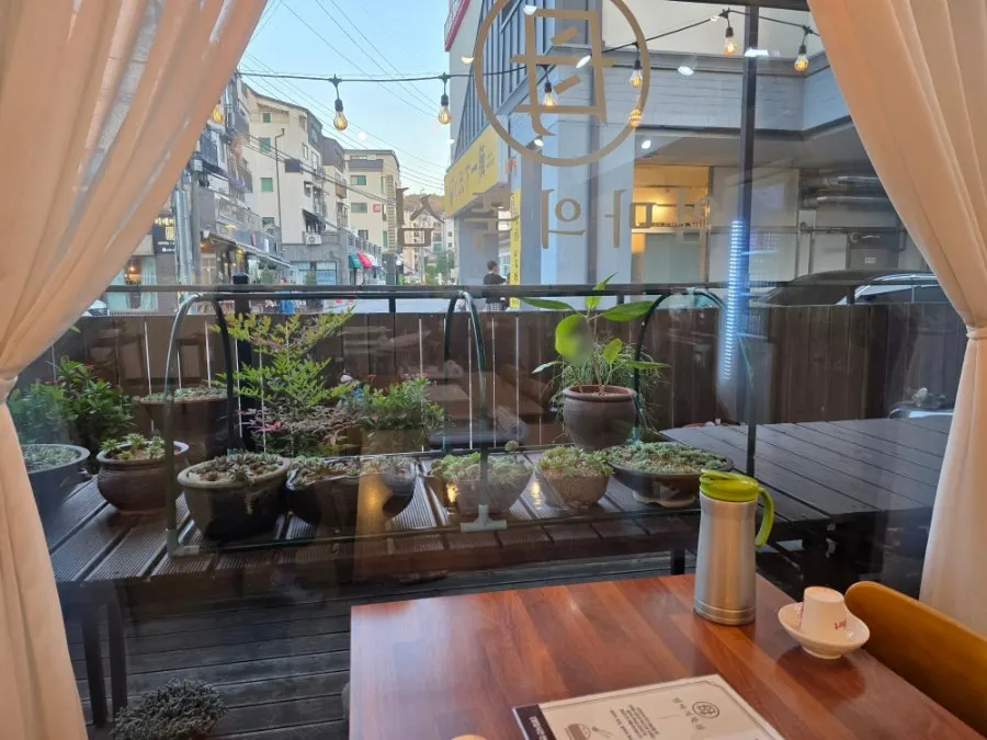 Window area decorated with cute potted plants