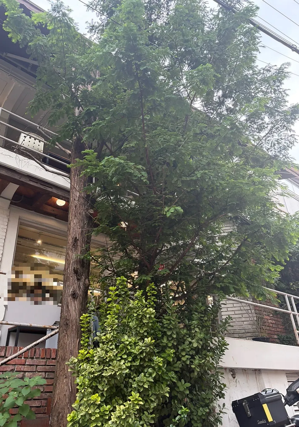 건물 전체를 쓰는 강남역 대형카페 어퍼앤언더 입구
