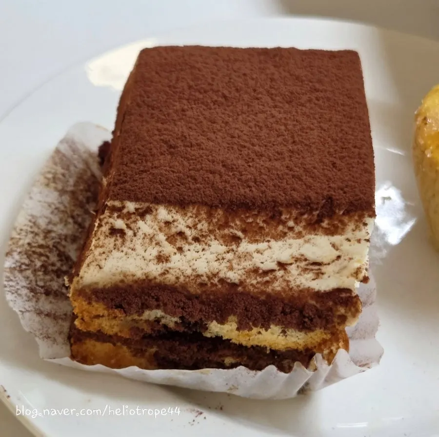 Cross-section of tiramisu with thick cream over two sponge layers