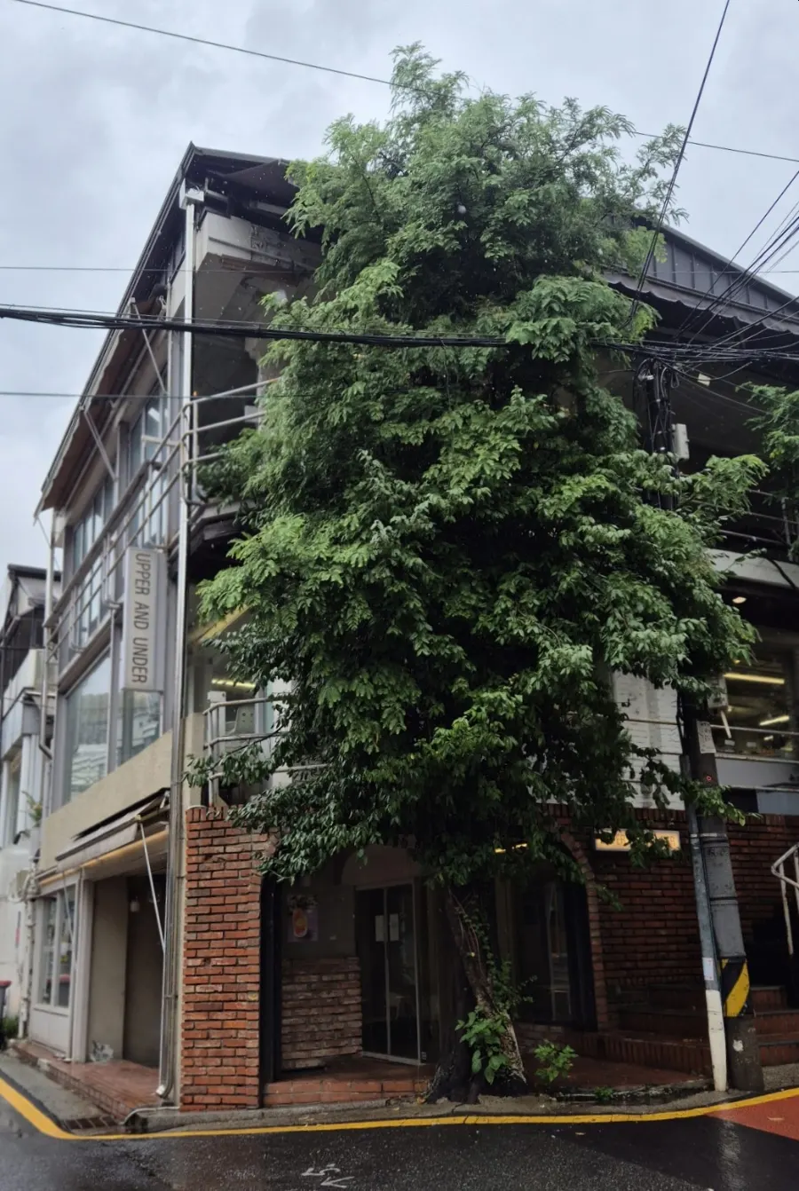 ภายนอกร้าน Upper and Under ในตรอกกังนัมแดโร