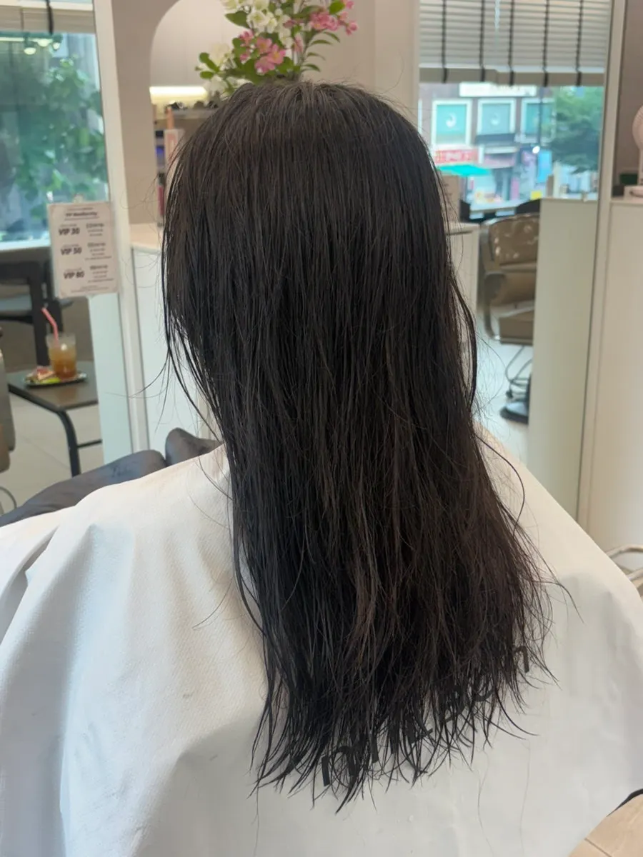 Dry hair before treatment from coloring and heat styling