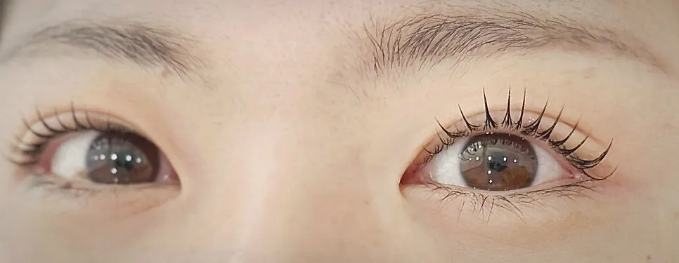 Lashes lifted vertically after the lash lift and black tinting