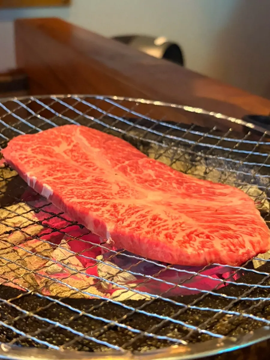 Well-marbled hanwoo chuck flap