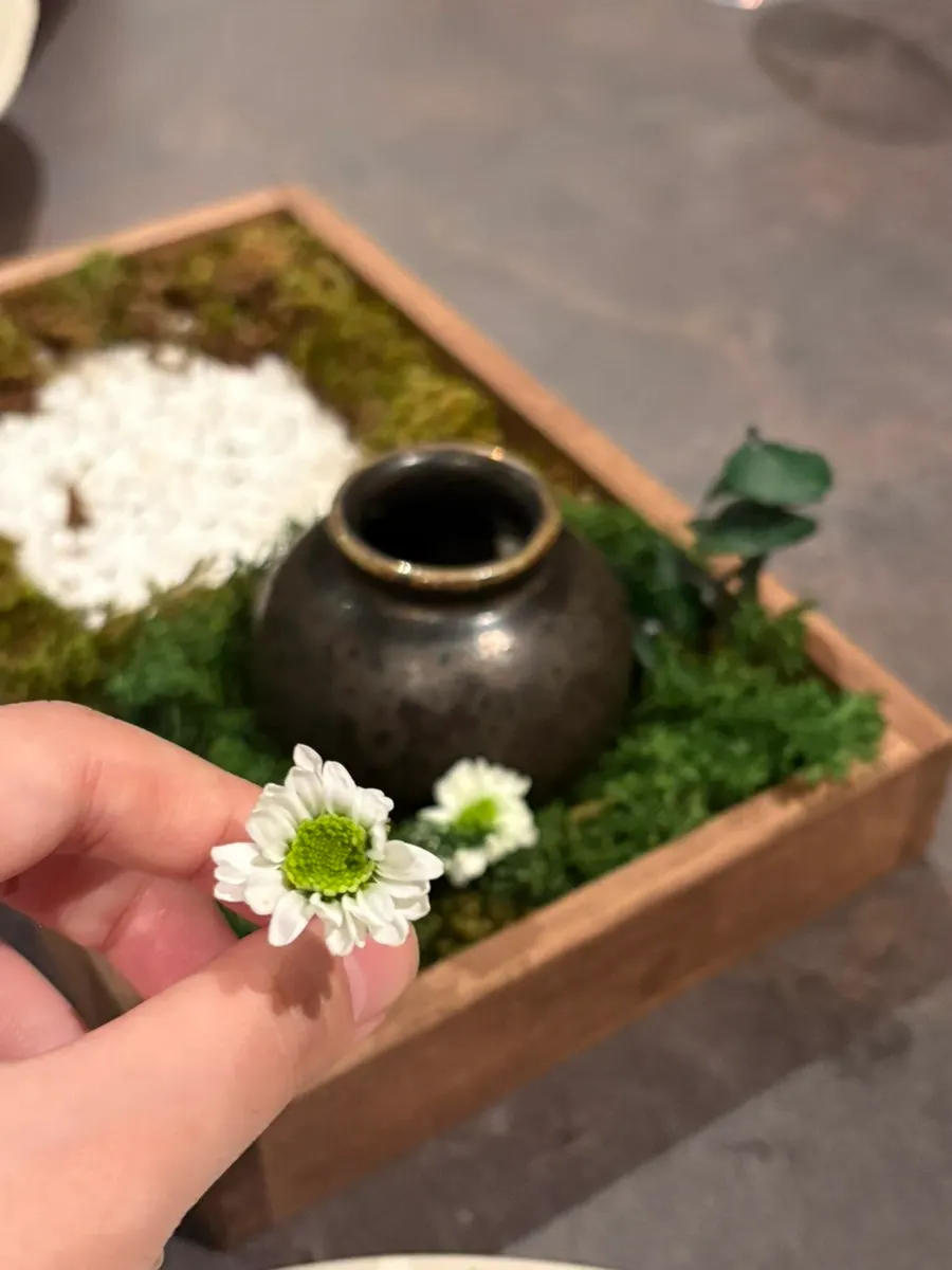 청귤 소스와 코코넛칩을 곁들인 디저트