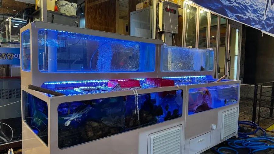 The eye-catching Veteran General Fish Market sign
