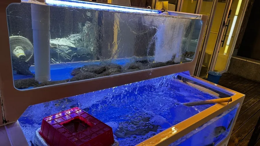 View of the fish tank near the entrance