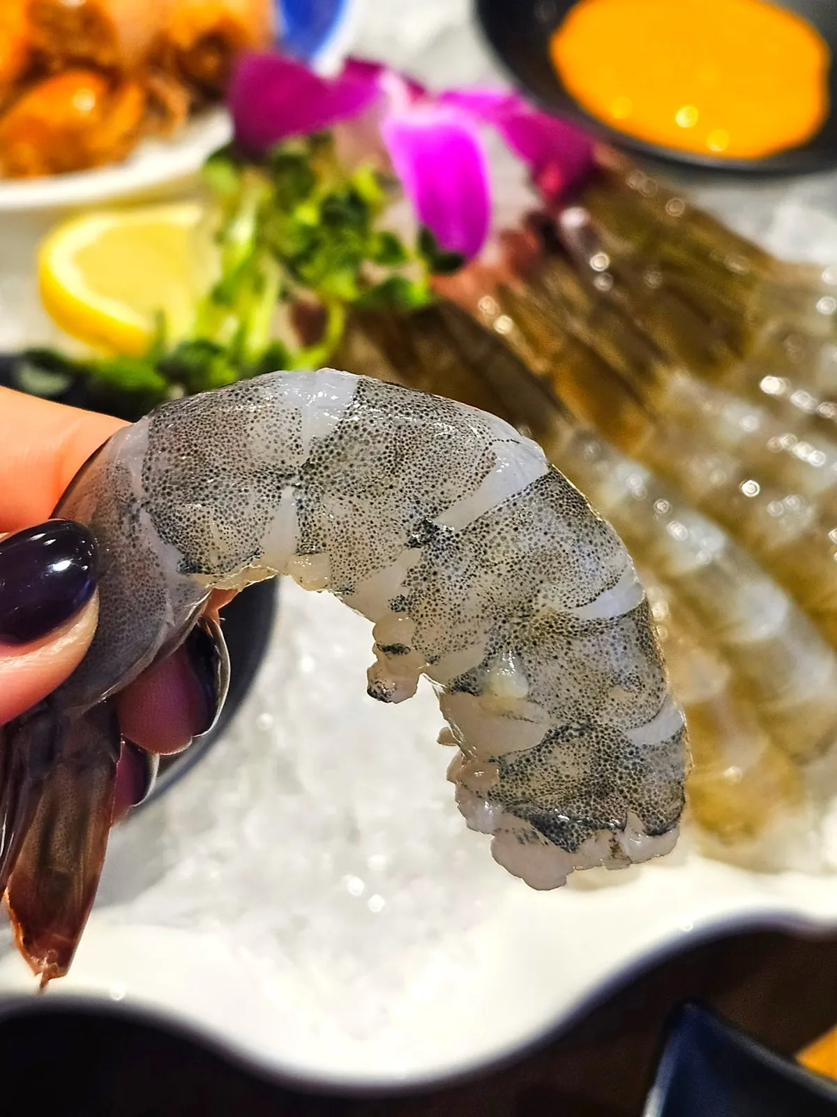 Close-up of a plate of seasonal raw shrimp sashimi