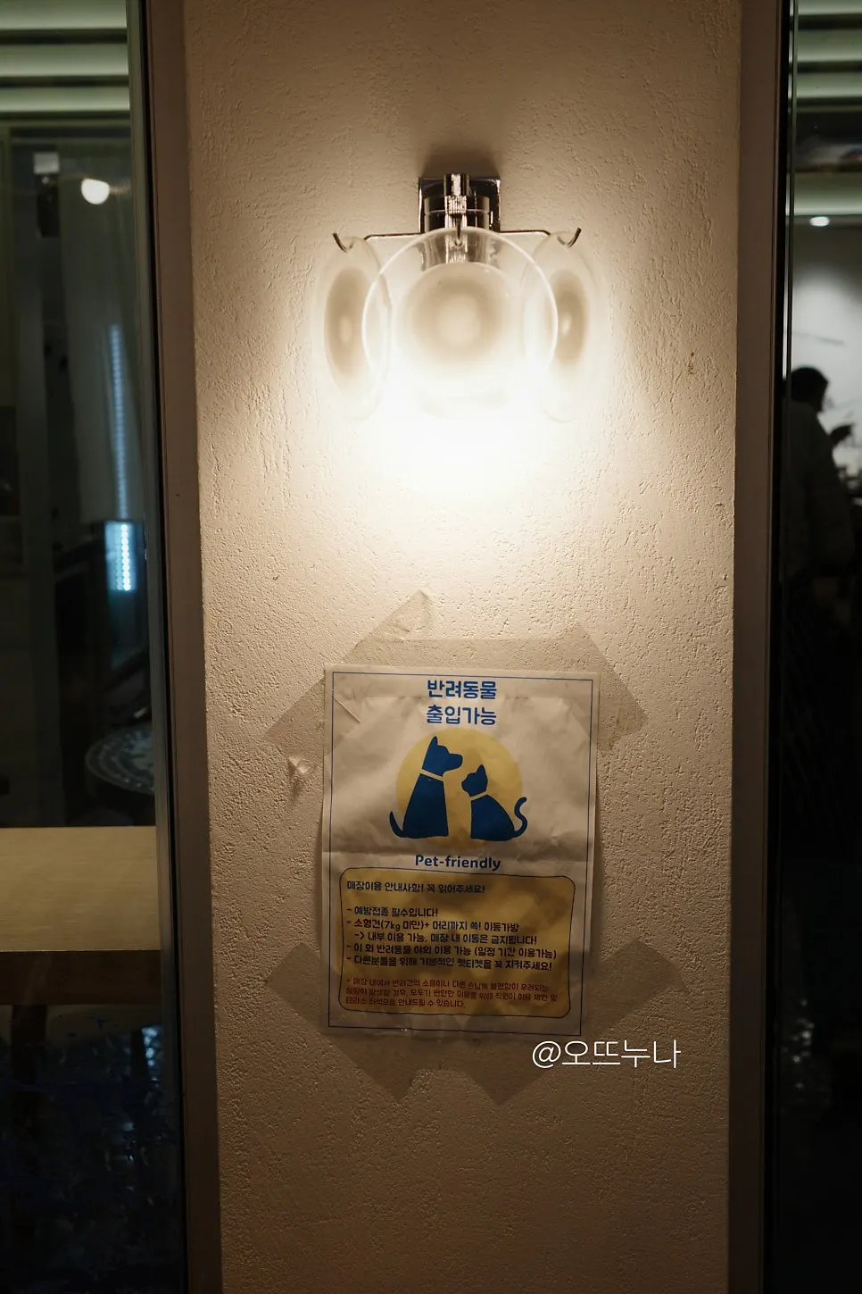 A dog brought inside under the dog-friendly policy