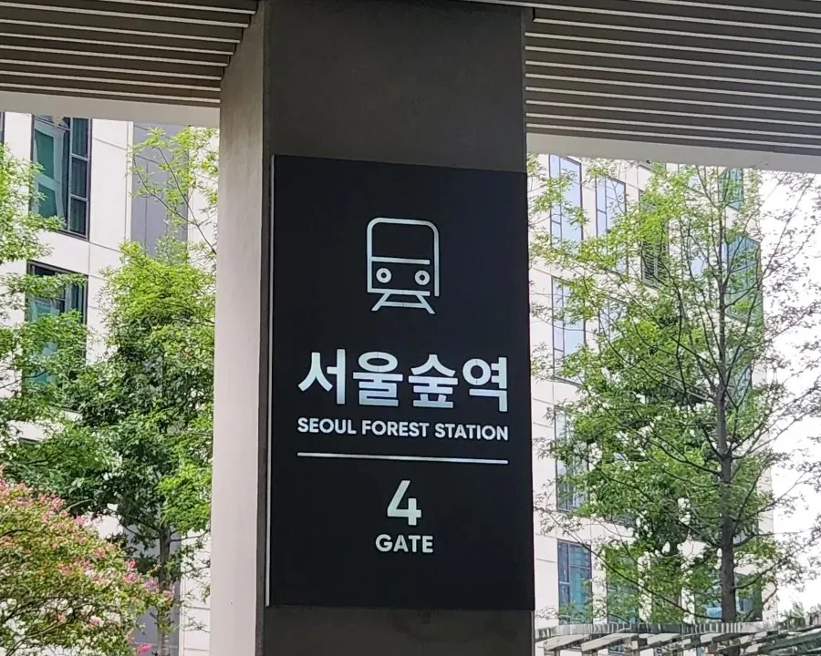 기념일 자리로 어울리는 빌라드블루 성수 테이블 세팅