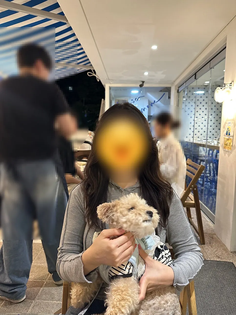 Terrace meal shared with a dog