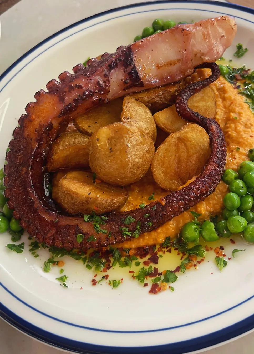 A plate of Mediterranean-style octopus dish polpo mambo
