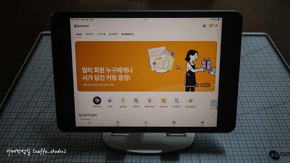 미끄럼 방지 실리콘 거치 패널