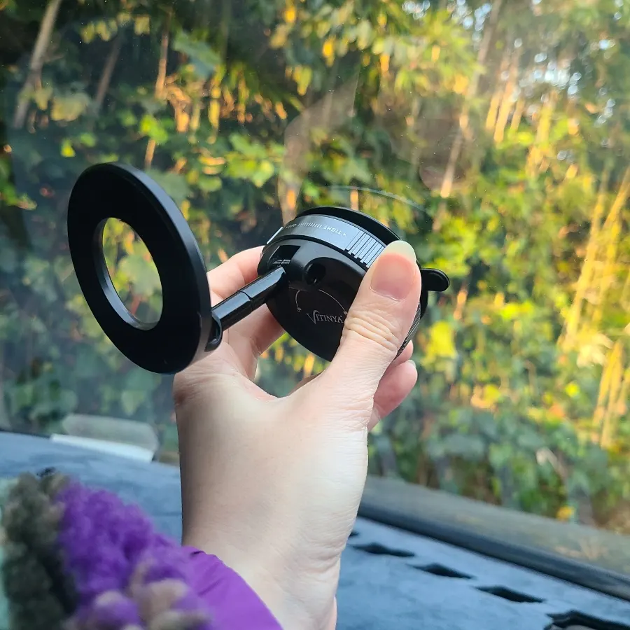 Mount for a curved dashboard