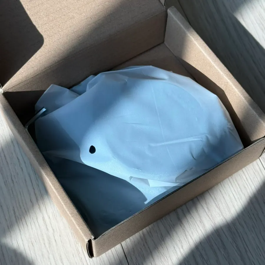 Delivered packaging for the Bitinya MagSafe stand