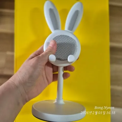 The rabbit-shaped plastic phone stand I had been using