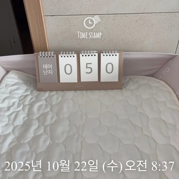 산후도우미가 온 날의 육아 일상
