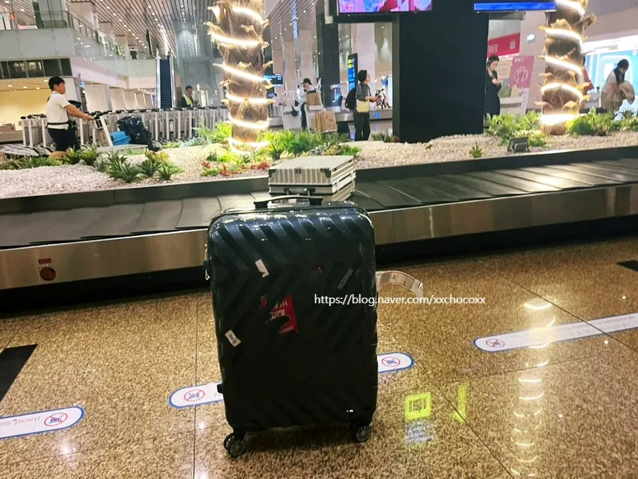 Family suitcase appearing after a wait at Cam Ranh Airport