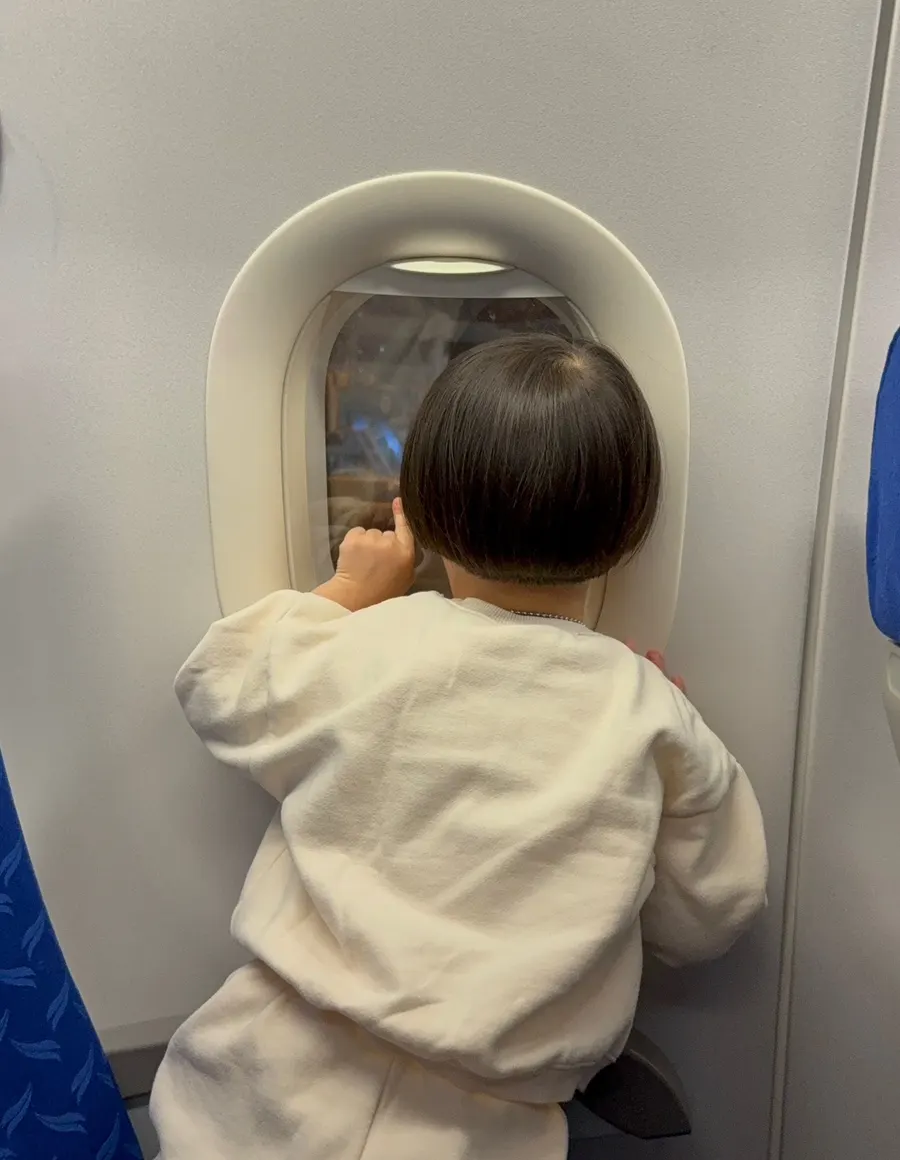 나트랑 공항 브이몽샵 패스트트랙 이용 여행