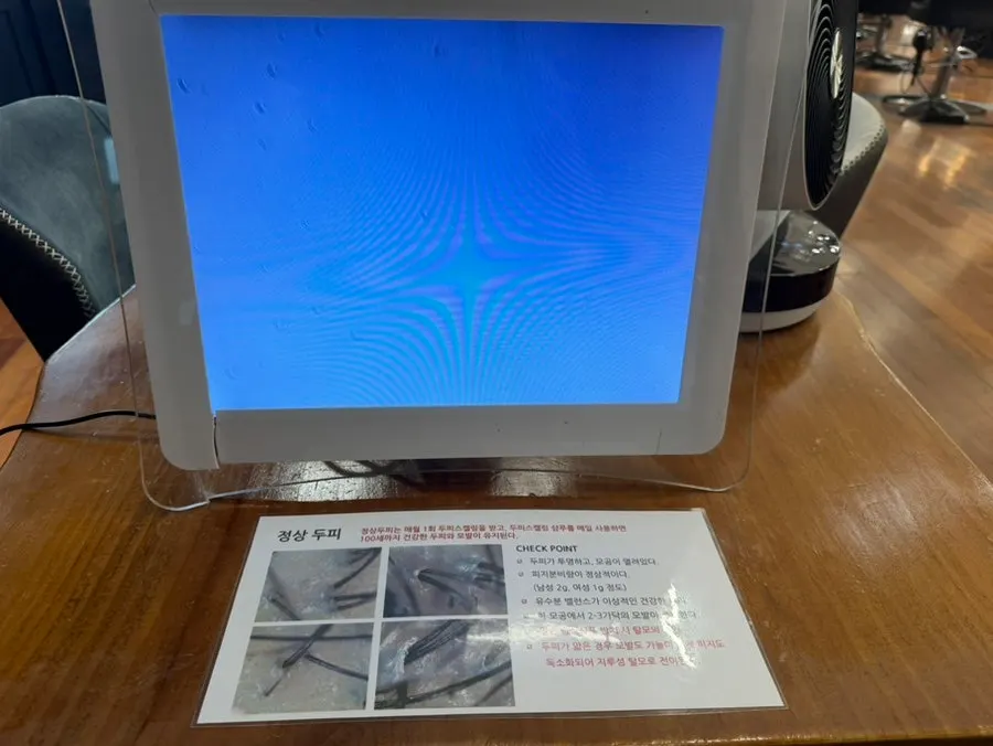 염색 색상 상담에 사용한 컬러북