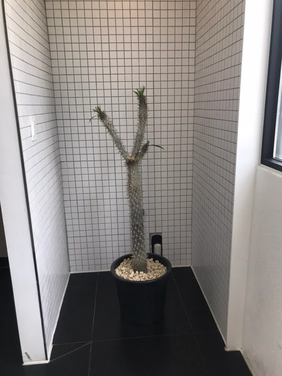 콘센트가 있는 바우트 벽쪽 좌석과 창밖 뷰