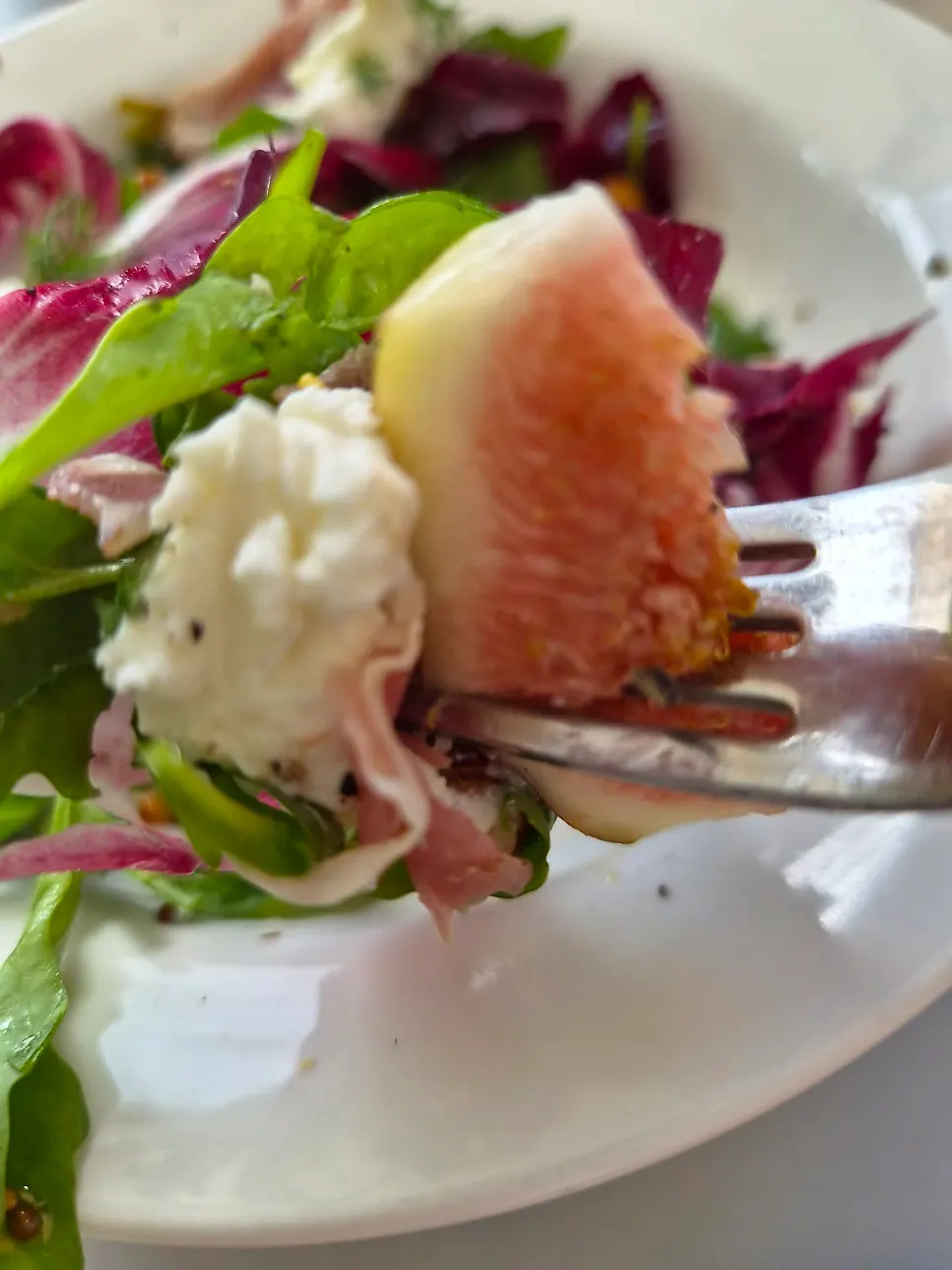 Season salad mixed with vegetables, fruit, and cheese