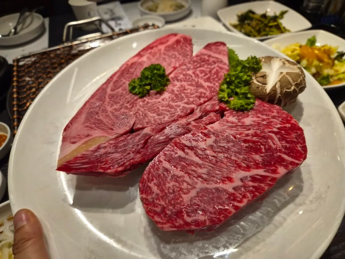 Densely marbled 1++ hanwoo sirloin