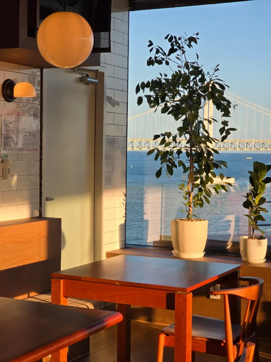 Café interior lit by sunlight just before sunset