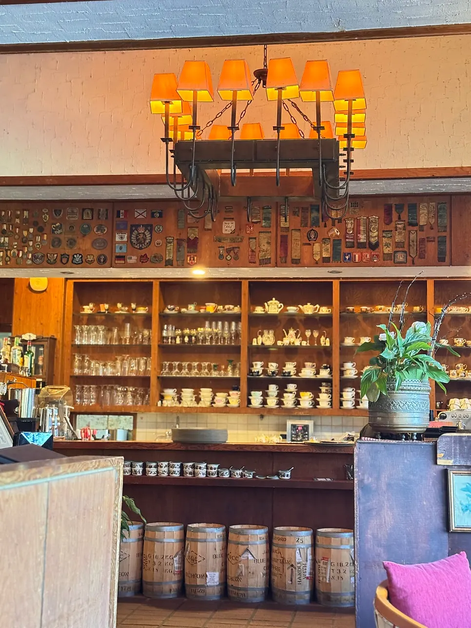Antique teacup collection in a display case
