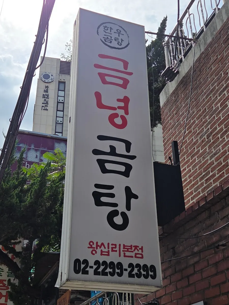 미나리곰탕과 미나리쌀국수 두 그릇 상차림