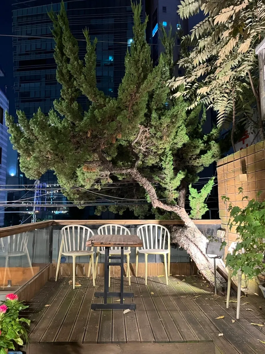 Outdoor space with trees at Geumnyeong Gomtang