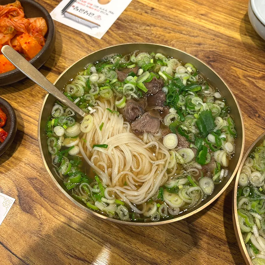 Broth with plenty of scallions
