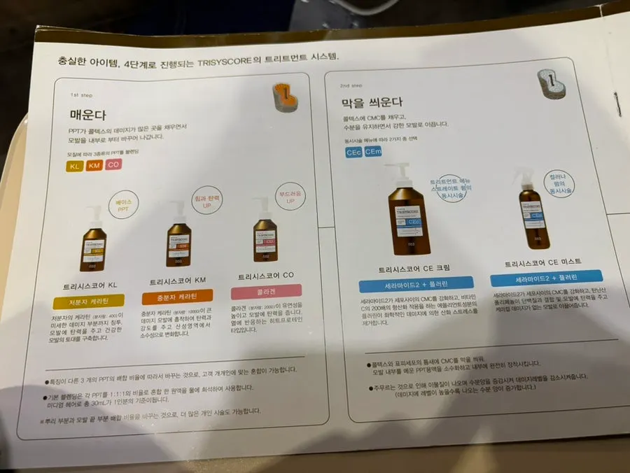 클리닉 전 손상된 모발 끝부분