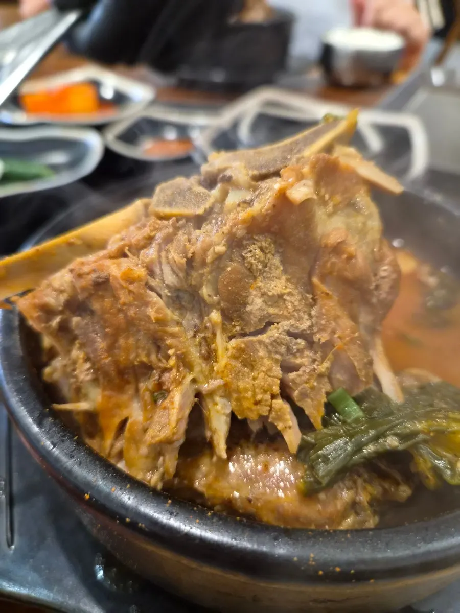 Large bones showing through the broth
