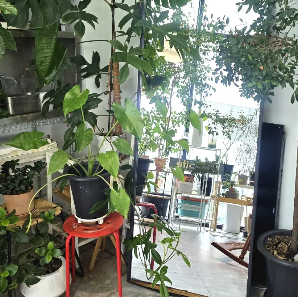 Interior view of When You Bite's plant-filled atmosphere