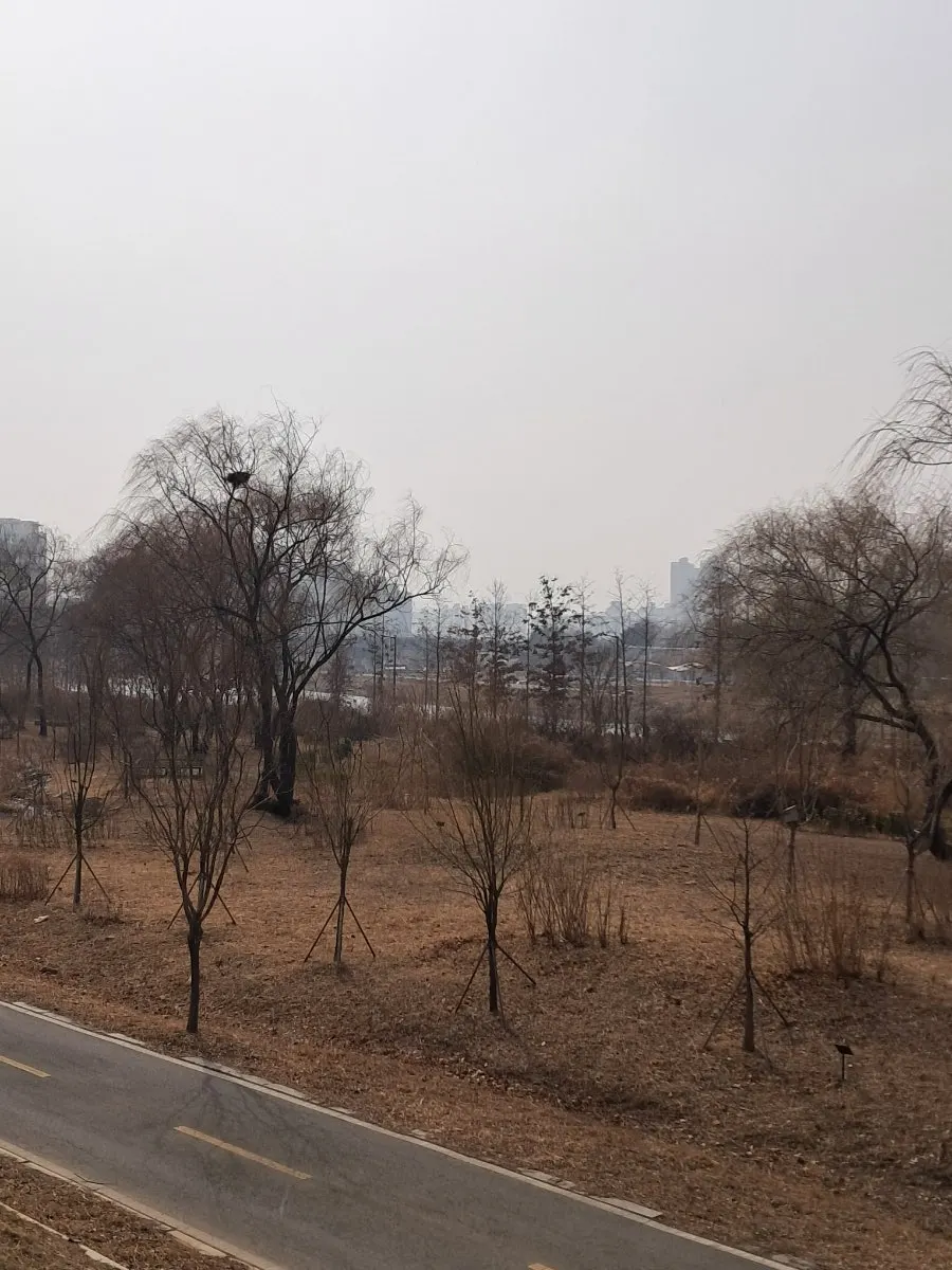 달리며 밀착감을 살펴본 스포츠 양말