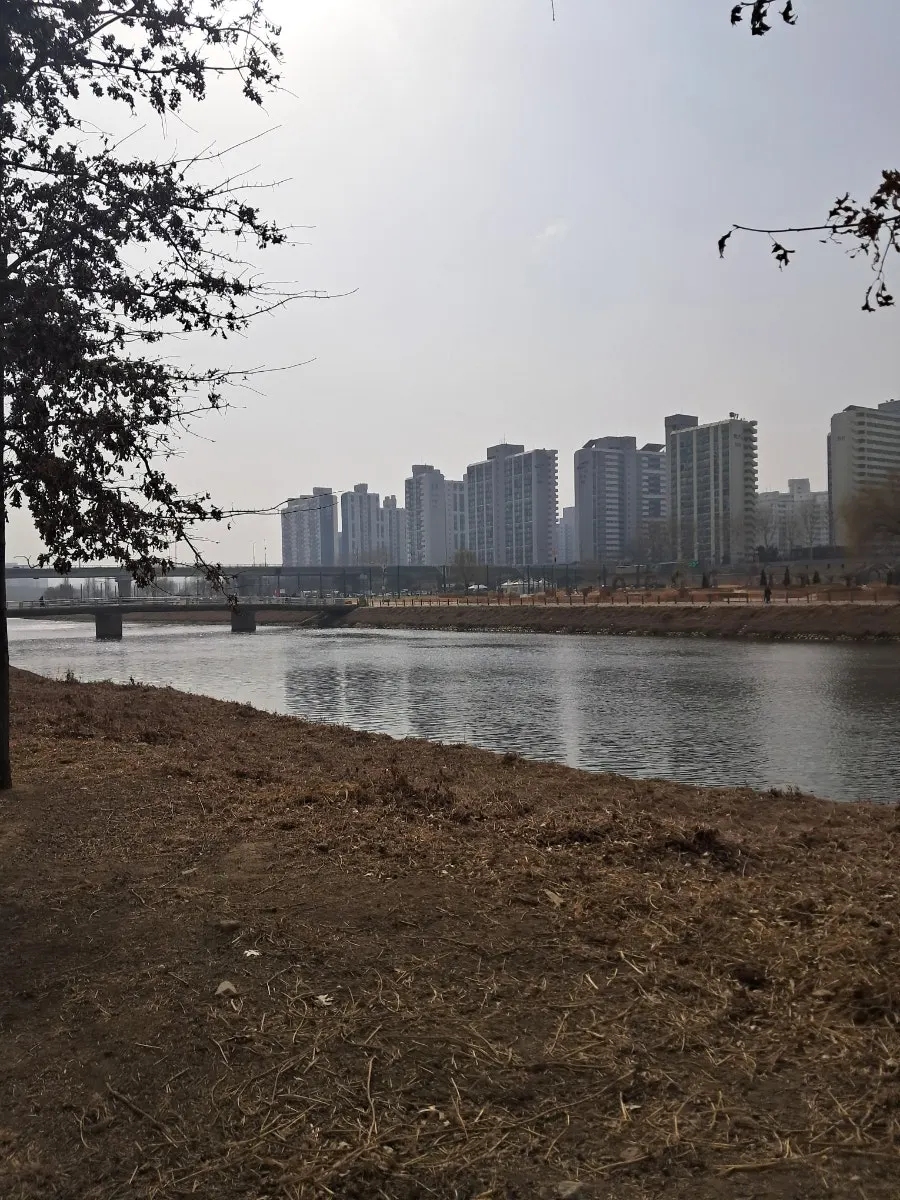 러닝 착용감을 살펴본 윈어블 양말