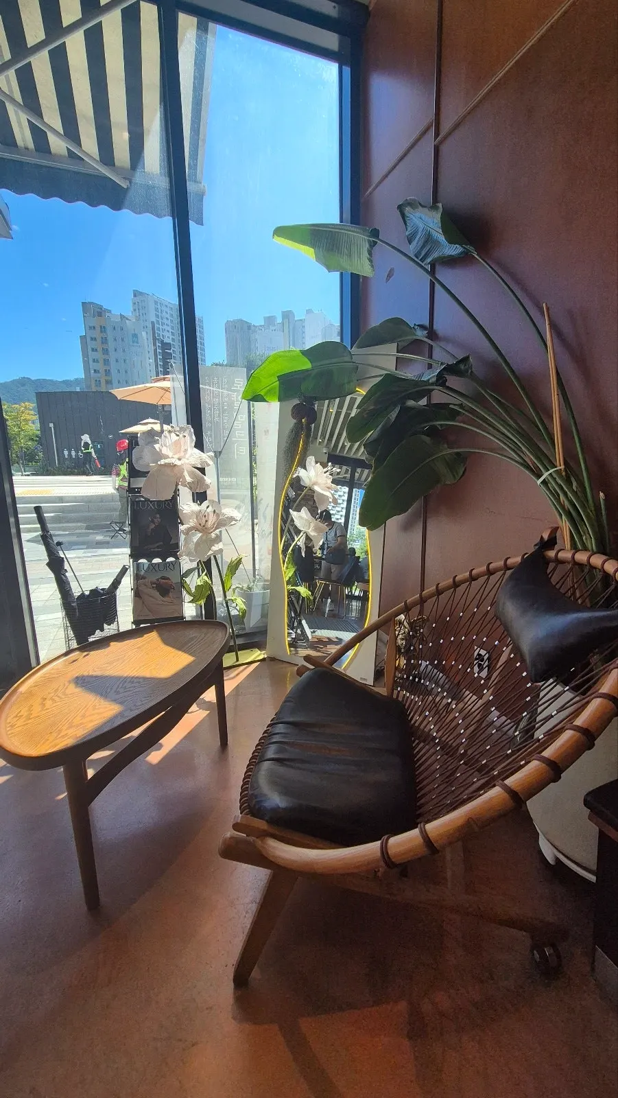Café window seats filled with natural light
